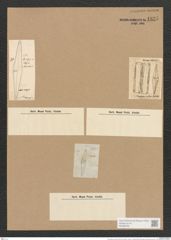 Pleurostauron acutum (W.Sm.) (de-Toni-Nr.: Genus 7, Species 968) Zeichnungen Sammlung Grunow Nr. 1835 (NHMW-BOT-W0368765)